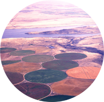Over 100 center-pivot sprinklers controlled by a central computer irrigate wheat, alfalfa, potatoes, and melons along the Columbia River near Hermiston, Oregon